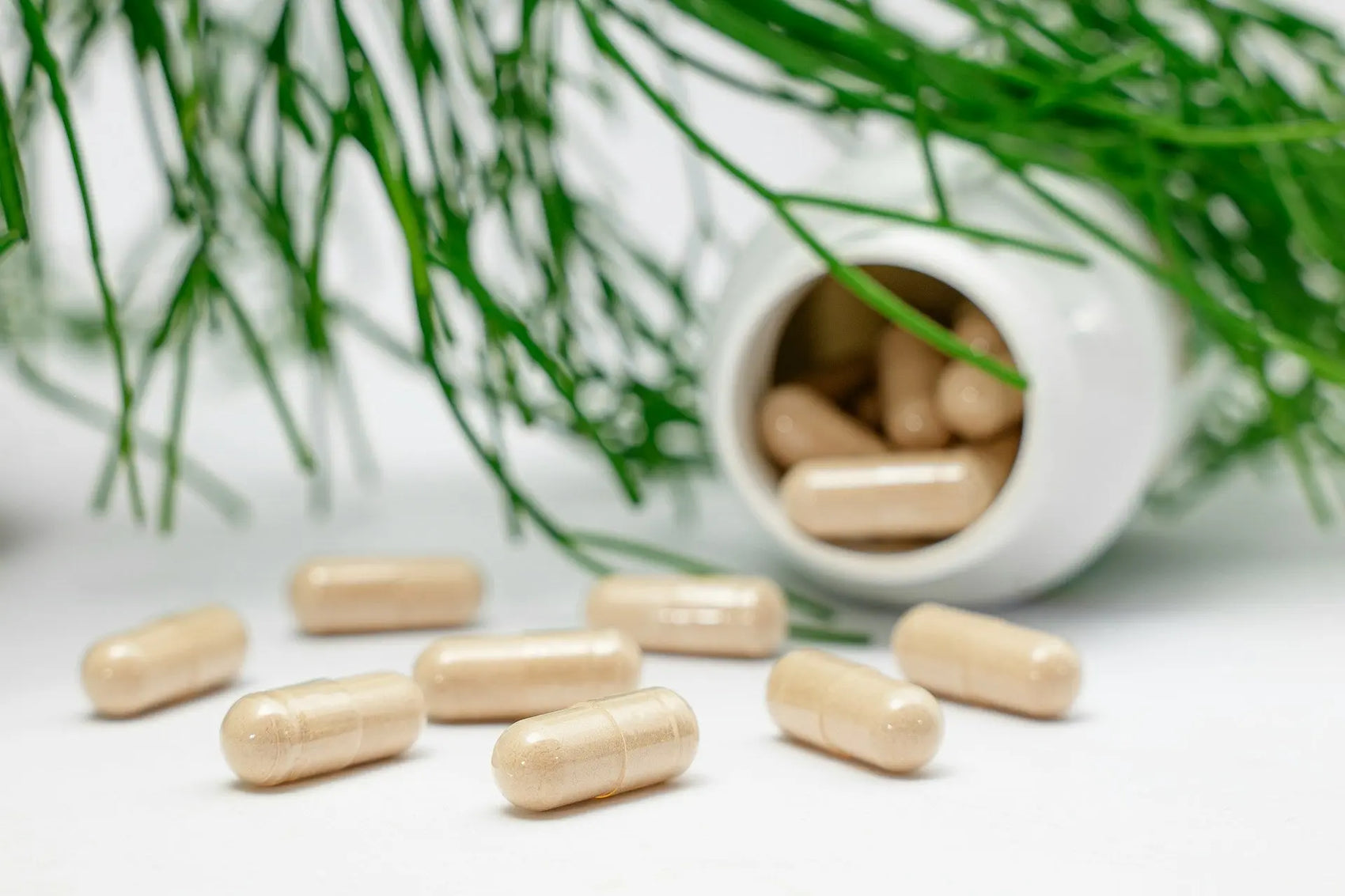 Sports Supplement