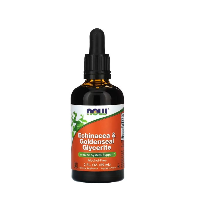 Echinacea &amp; Goldenseal Glycerite - 60 ml. - Now Foods