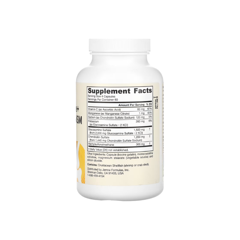 Glucosamine + Chondroitin + MSM - 240 caps