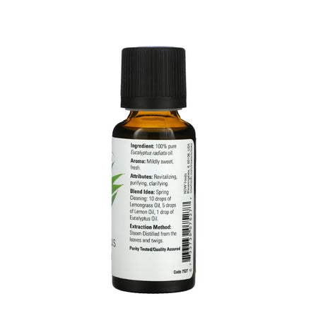 Essential Oil, Eucalyptus Radiata Oil - 30 ml. - Now Foods