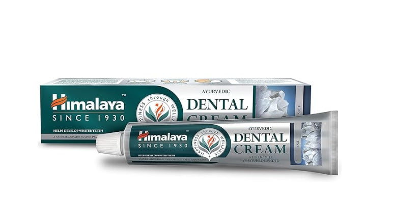 Ayurvedic Dental Cream, Salt - 100 grams - Himalaya