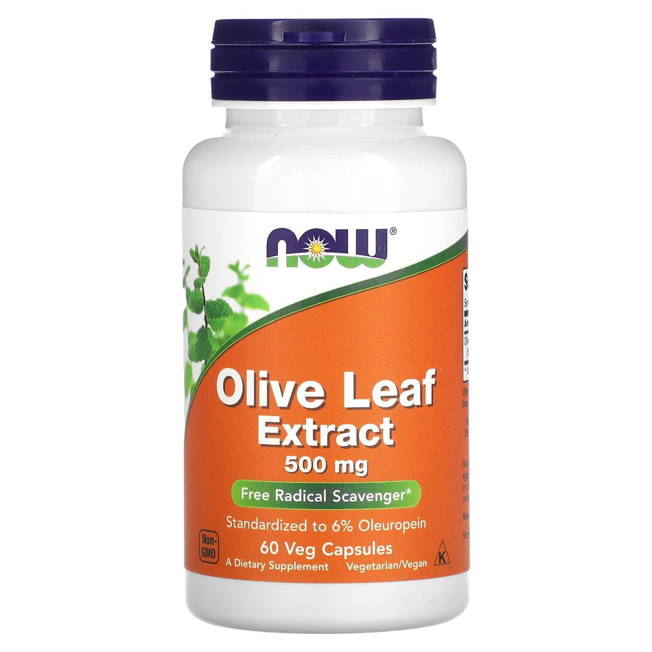 Olive Leaf Extract, 500mg - 60 vcaps Success