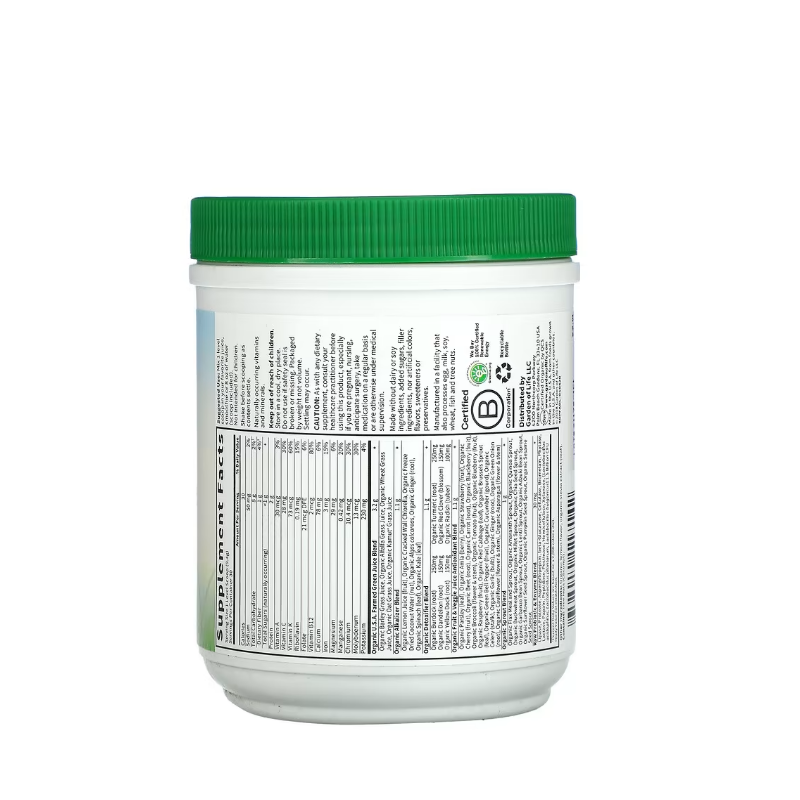 Raw Organic Perfect Food Alkalizer & Detoxifier, Lemon Ginger 282 grams - Garden Of Life